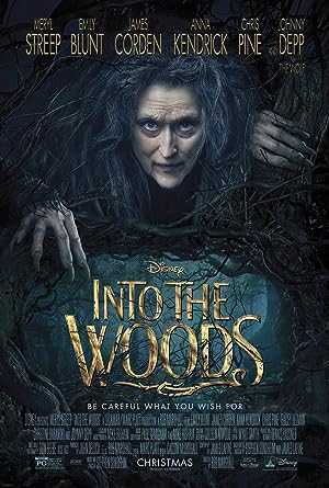تصویر فیلم به‌ سوی جنگل Into the Woods 2014