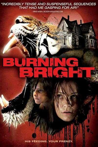 تصویر فیلم آتش درخشان Burning Bright 2010