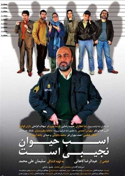 تصویر فیلم اسب حیوان نجیبی است Absolutely Tame Is a Horse 2011