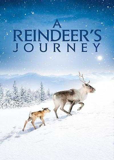 تصویر فیلم سفر آیلو A Reindeer’s Journey 2018