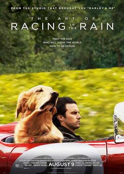 تصویر فیلم هنر مسابقه در باران The Art of Racing in the Rain 2019