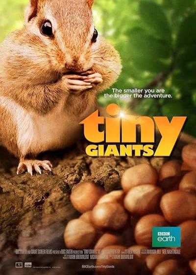 تصویر فیلم غول های کوچک سه بعدی Tiny Giants 3D 2014