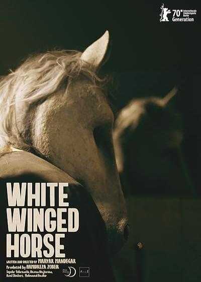 تصویر فیلم کوتاه اسب سفید بالدار White Winged Horse 2020