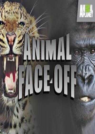 تصویر فیلم رویارویی حیوانات Animal Face Off 2004