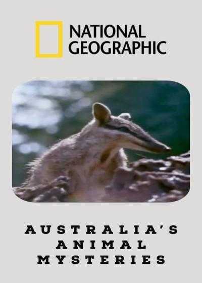 تصویر فیلم اسرار جانوران استرالیا Australia’s Animal Mysteries 1984