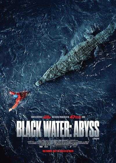 تصویر فیلم  دریاچه سیاه: پرتگاه Black Water: Abyss 2020