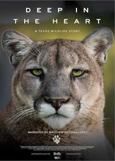 تصویر فیلم در اعماق قلب: داستانی از حیات وحش تگزاس Deep in the Heart: A Texas Wildlife Story 2022