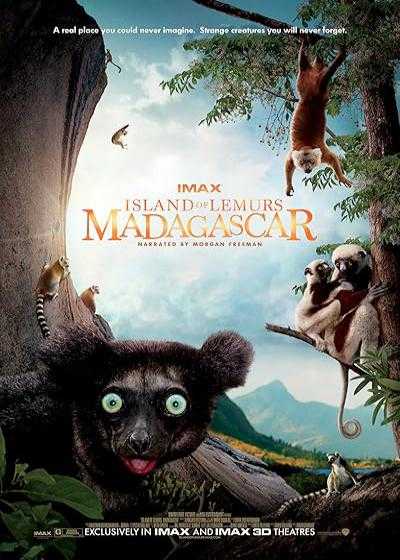 تصویر فیلم جزیره لمورهای ماداگاسکار Island of Lemurs: Madagascar 2014