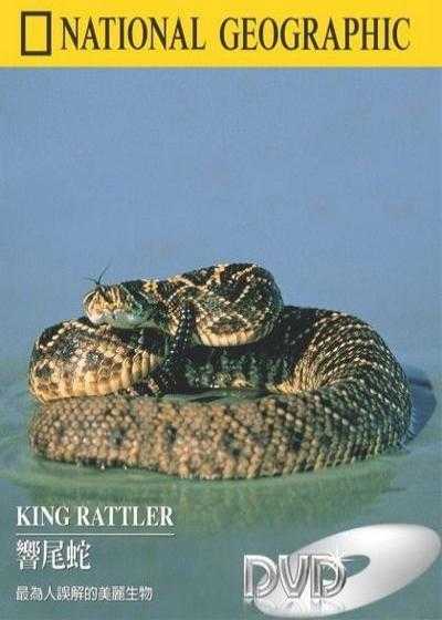 تصویر فیلم شاه مار زنگی King Rattler 2004