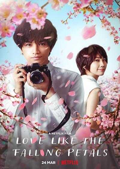 تصویر فیلم عشقی مانند سقوط گلبرگ ها Love Like the Falling Petals 2022