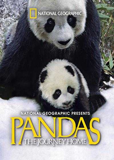 تصویر فیلم پاندا: بازگشت به خانه Pandas: The Journey Home 2014