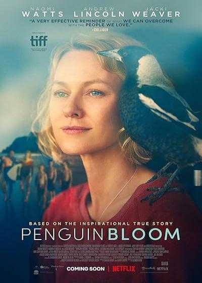 تصویر فیلم پنگوئن بلوم Penguin Bloom 2020