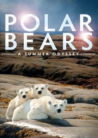 تصویر فیلم خرسهای قطبی: یک سفر تابستانی Polar Bears: A Summer Odyssey 2012