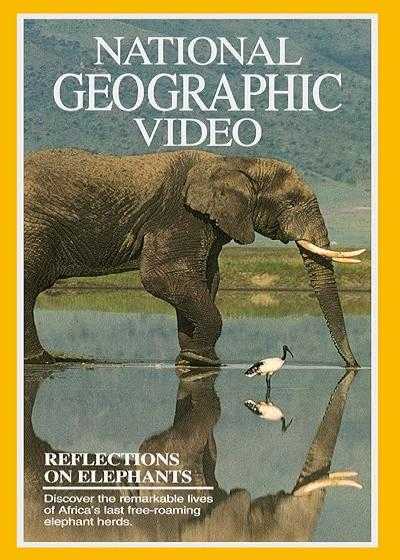 تصویر فیلم بازتاب فیل ها Reflections on Elephants 1994