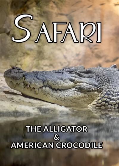 تصویر فیلم سافاری: تمساح و کروکودیل آمریکایی Safari: The Alligator and American Crocodile 1996
