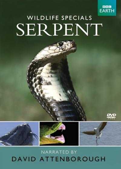 تصویر فیلم مستند حیوانات استثنایی: مار Serpent 2002