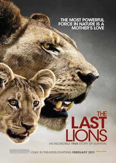 تصویر فیلم آخرین شیرها The Last Lions 2011