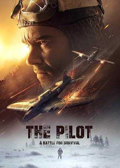 تصویر فیلم خلبان: نبردی برای بقا The Pilot: A Battle for Survival 2021