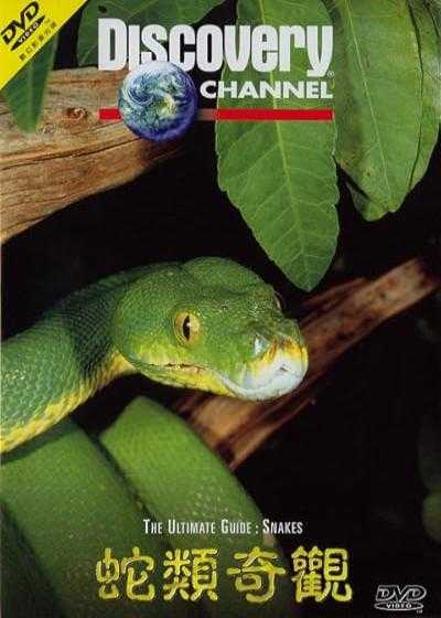 تصویر فیلم مستند مارها The Ultimate Guide: Snakes 1997