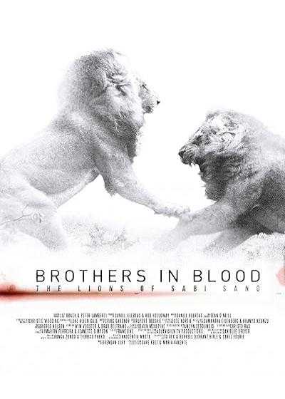 تصویر فیلم برادران تنی: شیر های سابی سند Brothers in Blood: The Lions of Sabi Sand 2015