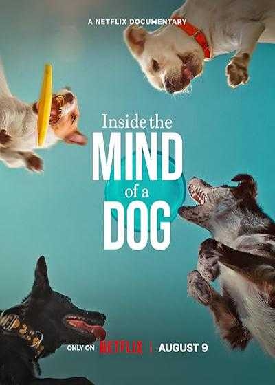 تصویر فیلم درون ذهن یک سگ Inside the Mind of a Dog 2024