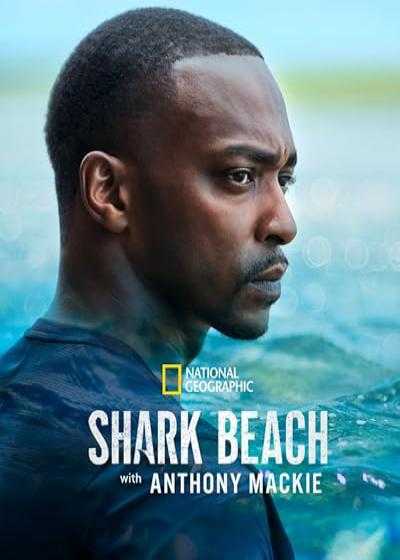 تصویر فیلم ساحل کوسه با آنتونی مکی Shark Beach with Anthony Mackie 2024