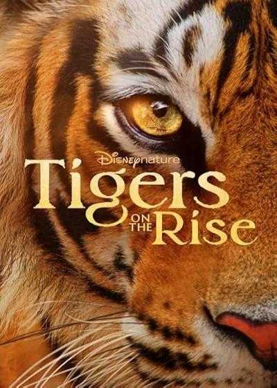 تصویر فیلم ببرهای در حال ظهور Tigers on the Rise 2024