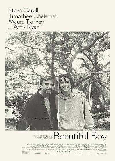تصویر فیلم پسر زیبا Beautiful Boy 2018