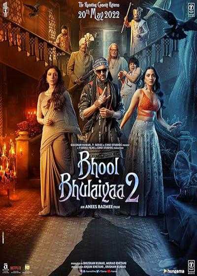 تصویر فیلم هزارتو ۲ Bhool Bhulaiyaa 2 2022