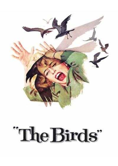 تصویر فیلم پرندگان The Birds 1963