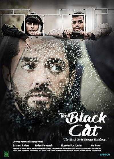 تصویر فیلم گربه سیاه The Black Cat 2020