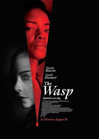 تصویر فیلم زنبور The Wasp 2024