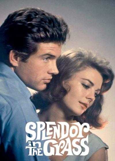 تصویر فیلم شکوه علفزار Splendor in the Grass 1961