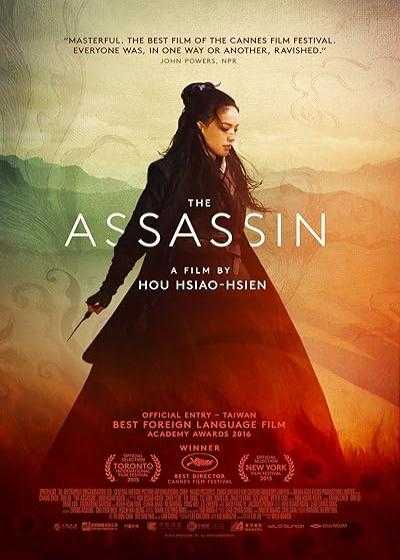 تصویر فیلم آدمکش The Assassin 2015