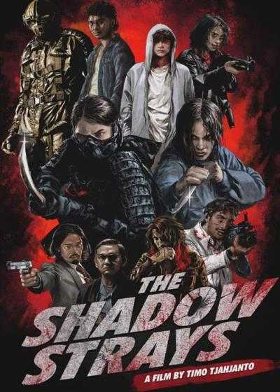 تصویر فیلم ولگردهای سایه The Shadow Strays 2024
