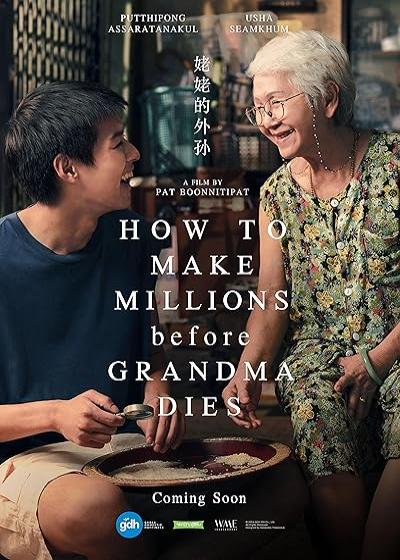 تصویر فیلم چگونه قبل از مرگ مادربزرگ میلیونر شویم How to Make Millions Before Grandma Dies 2024