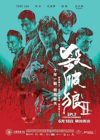 تصویر فیلم منطقه کشتار ۲ Kill Zone 2 2015